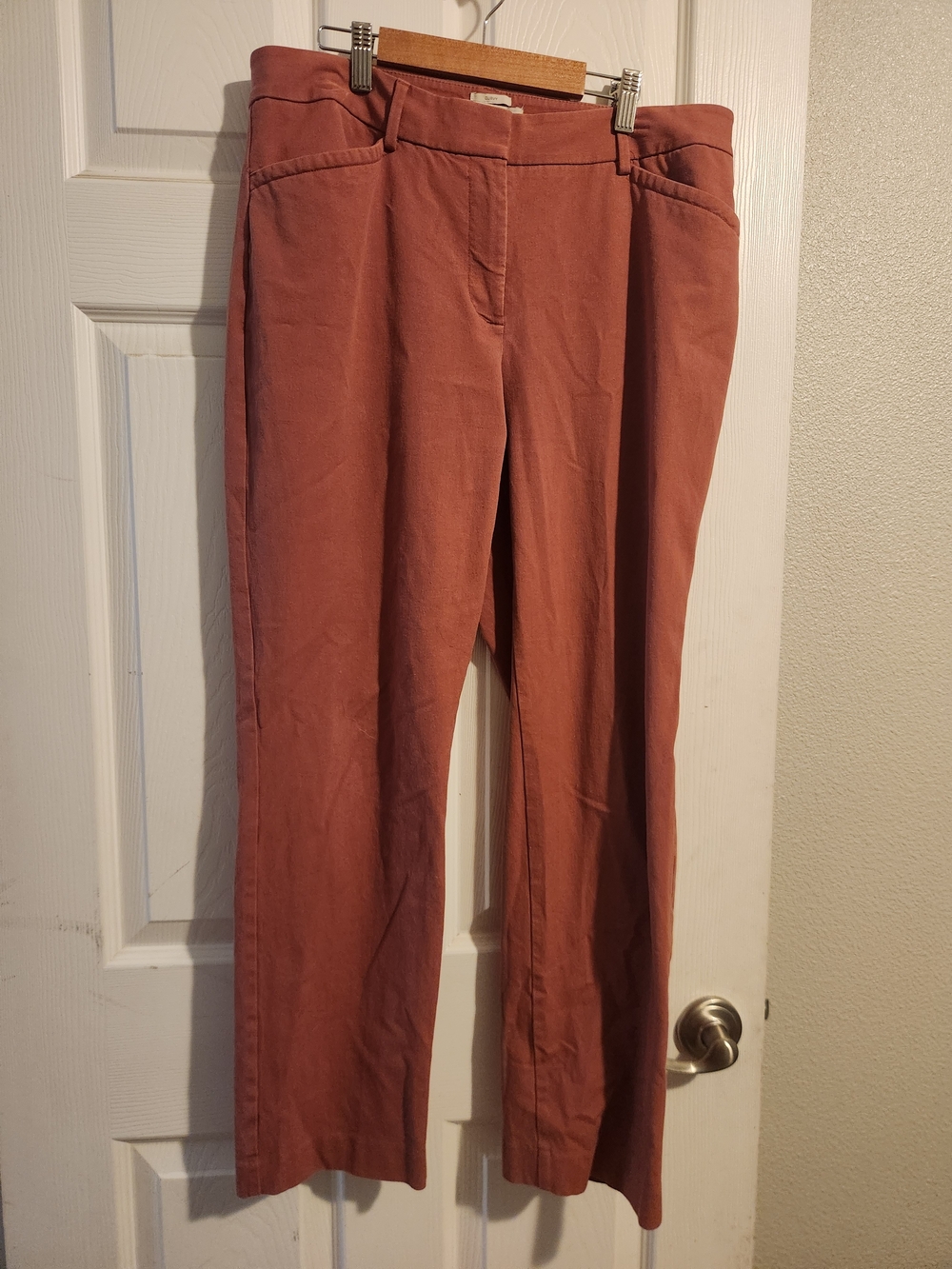 Talbots Curvy Straight Pants in Burnt Orange
